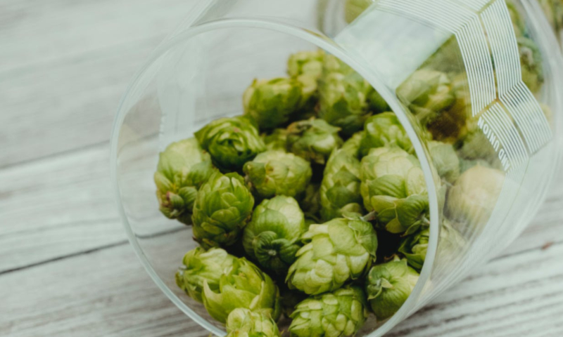 Hopbitterheid IBU of EBU in bier / Pexels.com Hopbitterheid IBU of EBU in bier